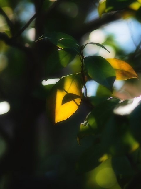 M3059061_2048x1536_補正済.jpg