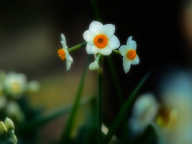 M3059074_2048x1536_補正済.jpg