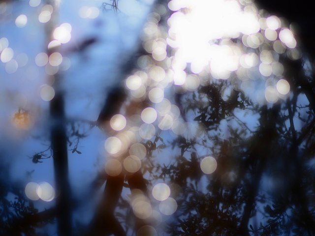 M3059082_2048x1536_補正済.jpg