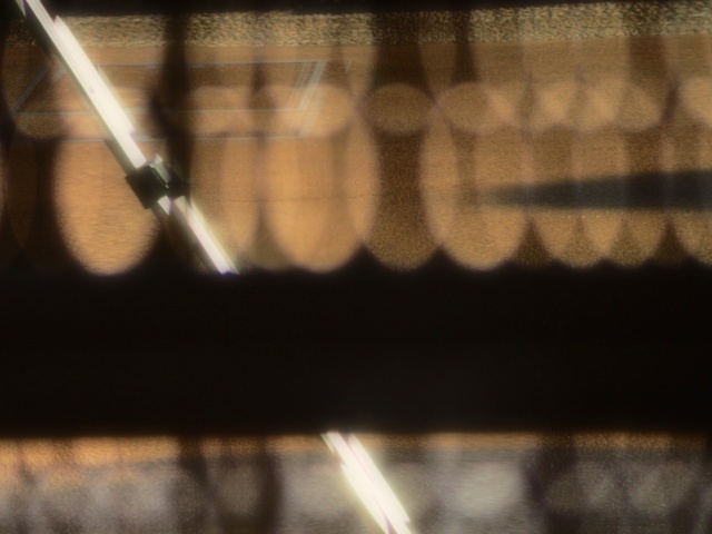 M3059083_2048x1536_補正済.jpg