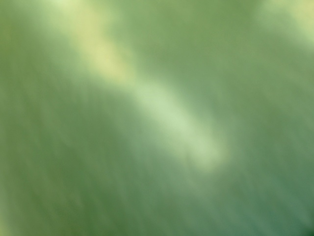 M3059097_2048x1536_補正済.jpg