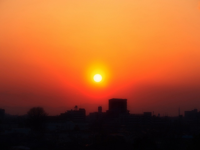 M3059122_2048x1536_補正済.jpg