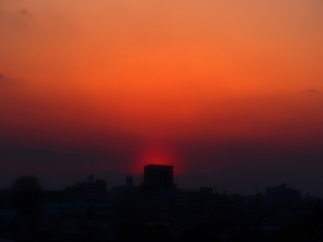M3059159_2048x1536_補正済.jpg
