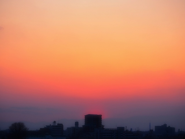 M3059160_2048x1536_補正済.jpg
