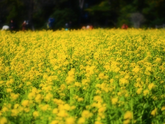 M3159372_2048x1536_補正済.jpg