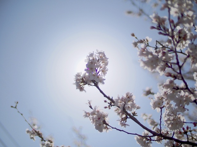 M3229635_2048x1536_補正済.jpg