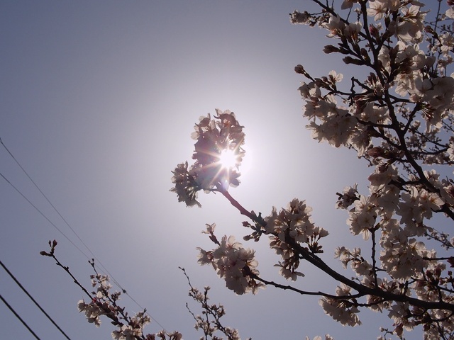 M3229644_2048x1536_補正済.jpg