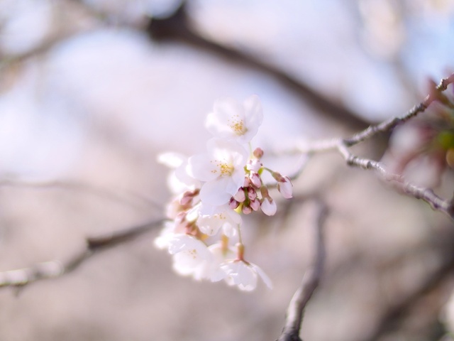 M3229664_2048x1536_補正済.jpg