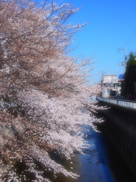 M3229680_2048x1536_補正済.jpg