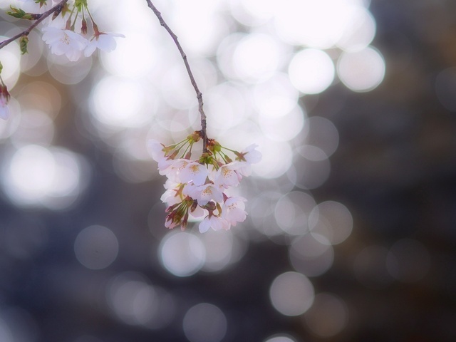 M3229710_2048x1536_補正済.jpg