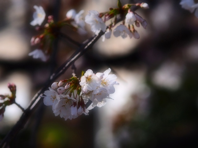 M3229734_2048x1536_補正済.jpg