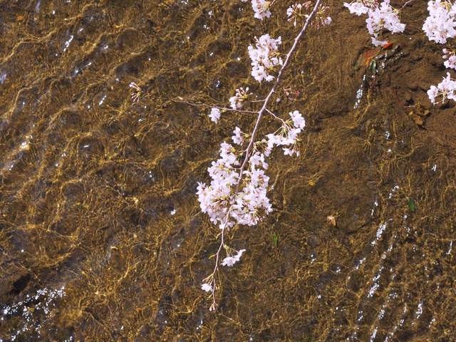 M3229770_2048x1536_補正済.jpg