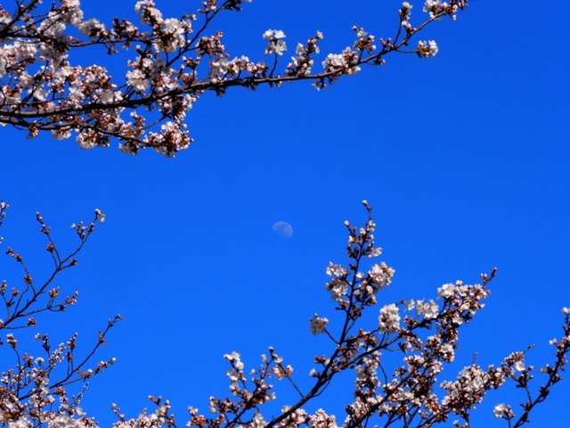 M3229779_2048x1536_補正済.jpg