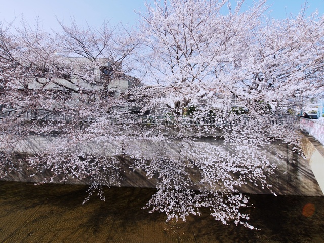 M3229835_2048x1536_補正済.jpg