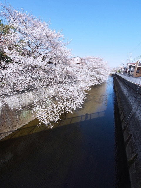 M3229844_2048x1536_補正済.jpg