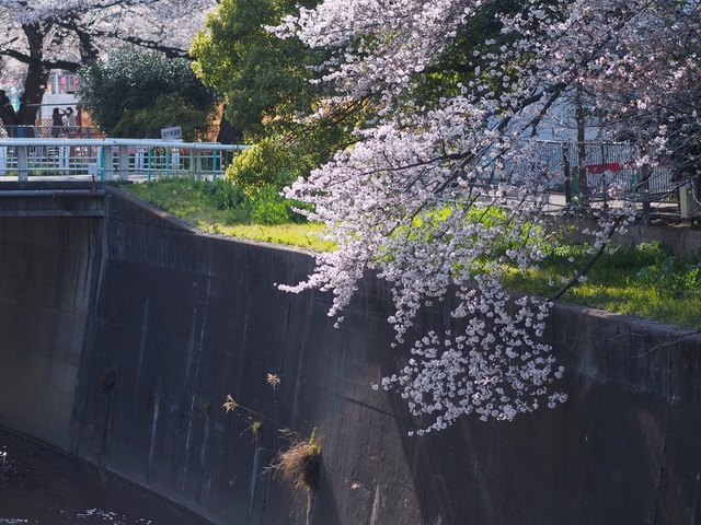 M3229850_2048x1536_補正済.jpg