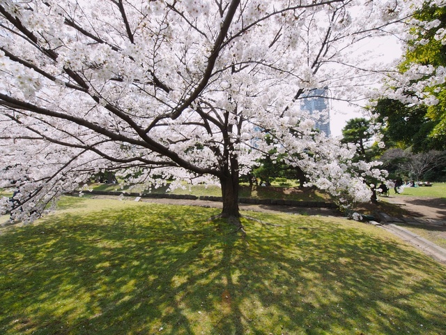 M3260029_2048x1536_補正済.jpg