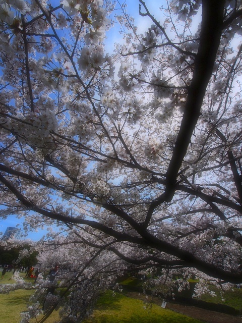 M3260030_2048x1536_補正済.jpg