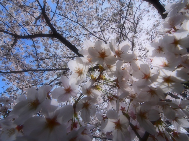 M3260038_2048x1536_補正済.jpg