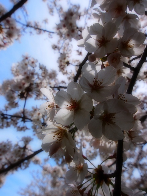 M3260044_2048x1536_補正済.jpg