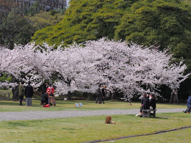 M3260092_2048x1536_補正済.jpg