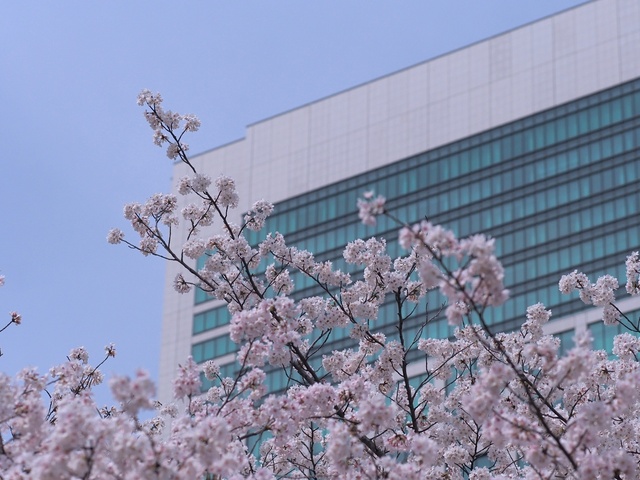 M3260097_2048x1536_補正済.jpg