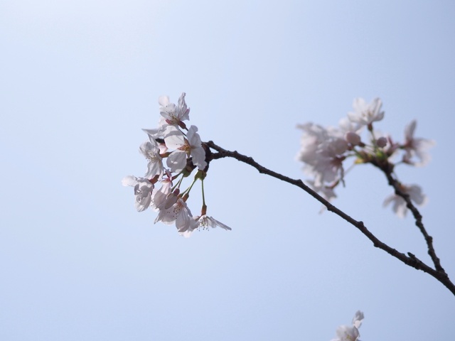 M3260100_2048x1536_補正済.jpg