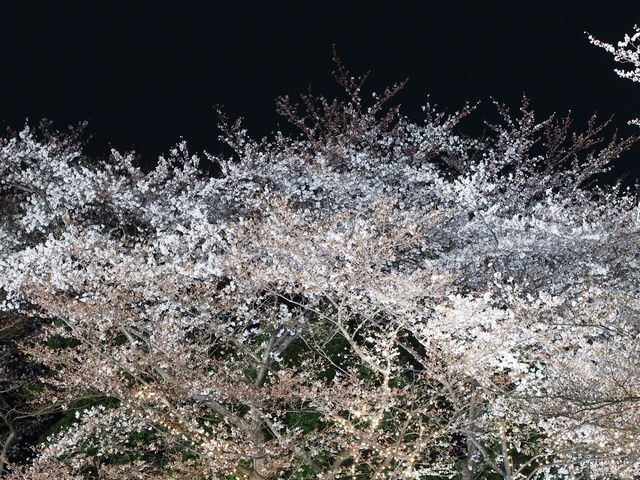 M4060482_1280x960_補正済.jpg