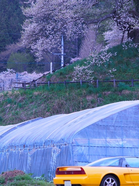 M5013627_1280x960_補正済.jpg
