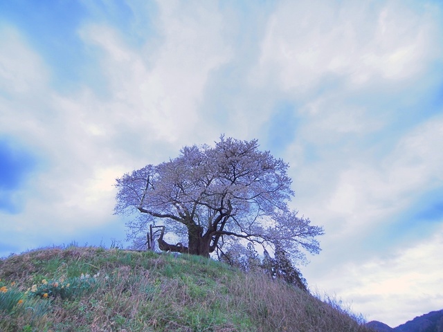 M5013690_1280x960_補正済.jpg