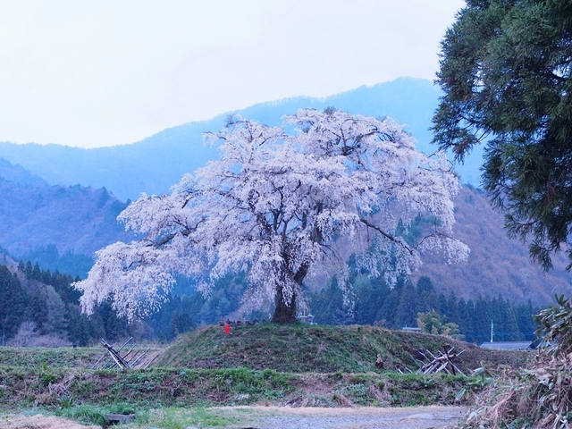 M5013697_1280x960_補正済.jpg