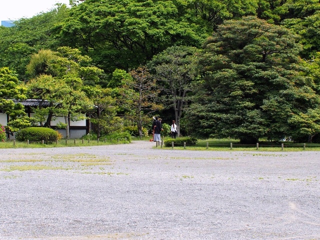 M5114536_1280x960_補正済.jpg