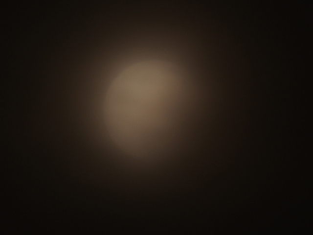 M6047205_1280x853.jpg