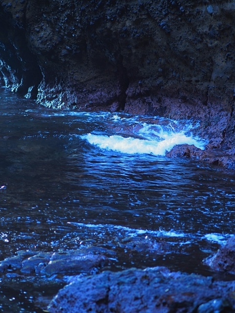 M7091224_1280x960_補正済.jpg
