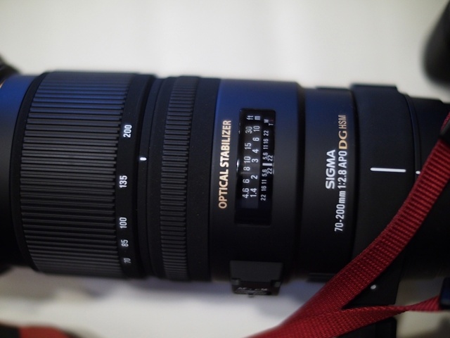 M8254808_1280x960_補正済.jpg