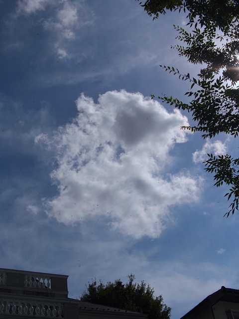 M9306908_1280x960_補正済.jpg