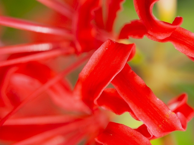 MA067312_1280x960_補正済.jpg