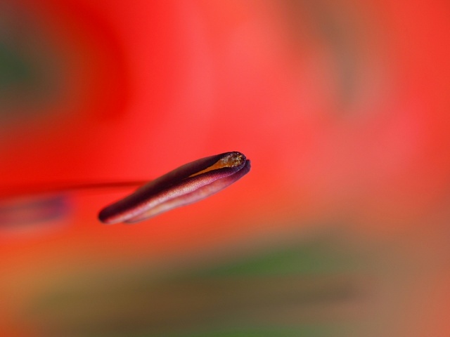 MA067325_1280x960_補正済.jpg