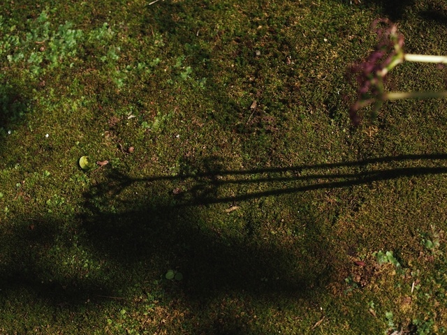 MA067346_1280x960_補正済.jpg