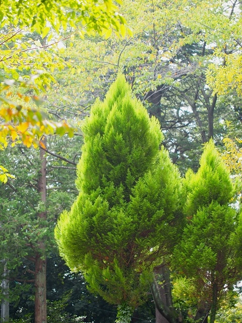 MA067428_1280x960_補正済.jpg