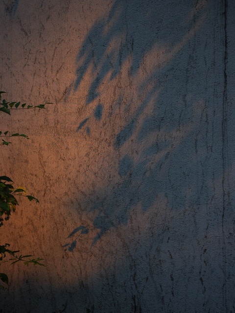 MA067491_1280x960_補正済.jpg