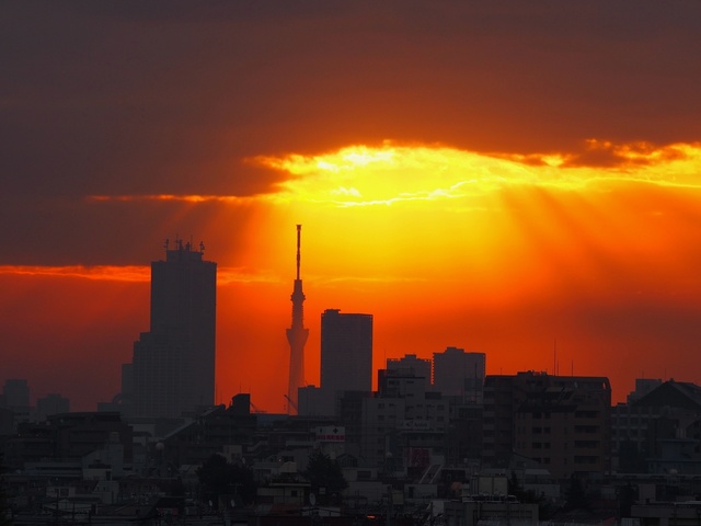 MA178445_2048x1536_補正済.jpg