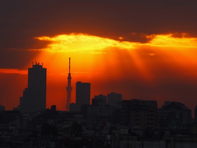 MA178447_2048x1536_補正済.jpg