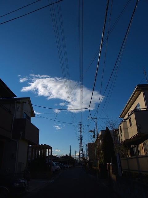 P1020308_1280x960.jpg