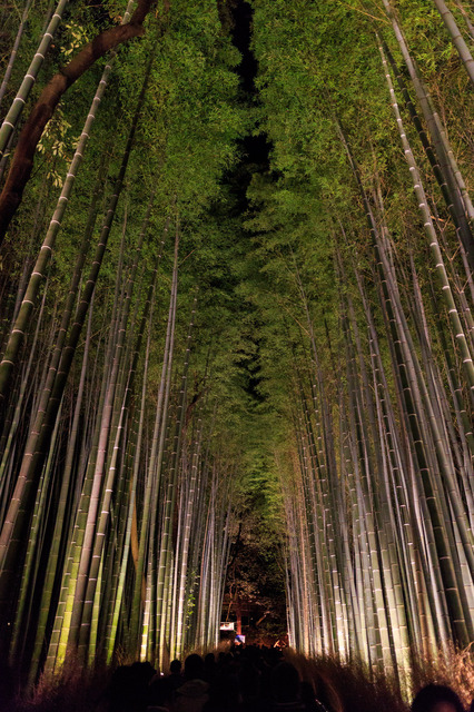 5D3_1788_CameraRAW_2048.jpg