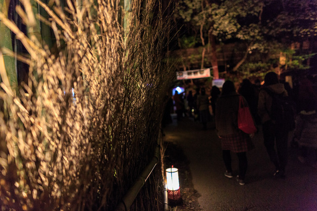 5D3_1789_CameraRAW_2048.jpg