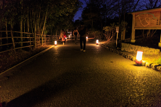5D3_1797_CameraRAW_2048.jpg