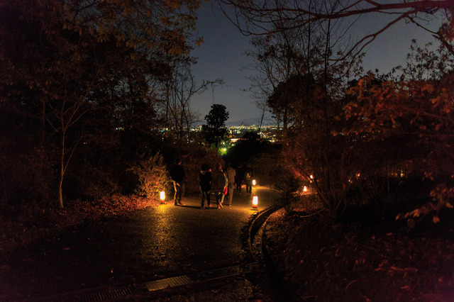 5D3_1801_CameraRAW_2048.jpg