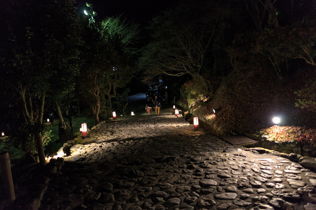 5D3_1830_CameraRAW_2048.jpg