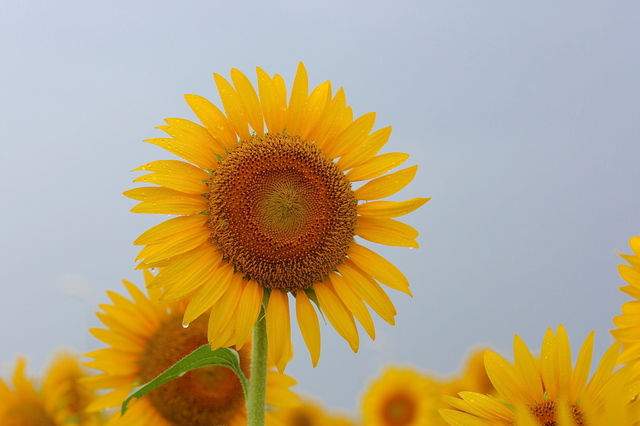 5D3_3389_2048x1365_2.jpg